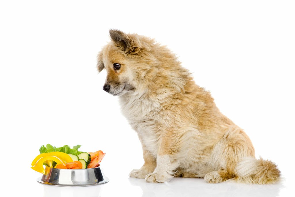plant-based diet