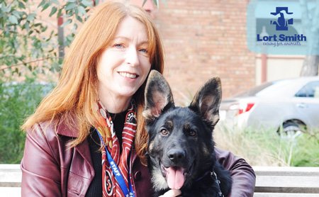 pets and renting