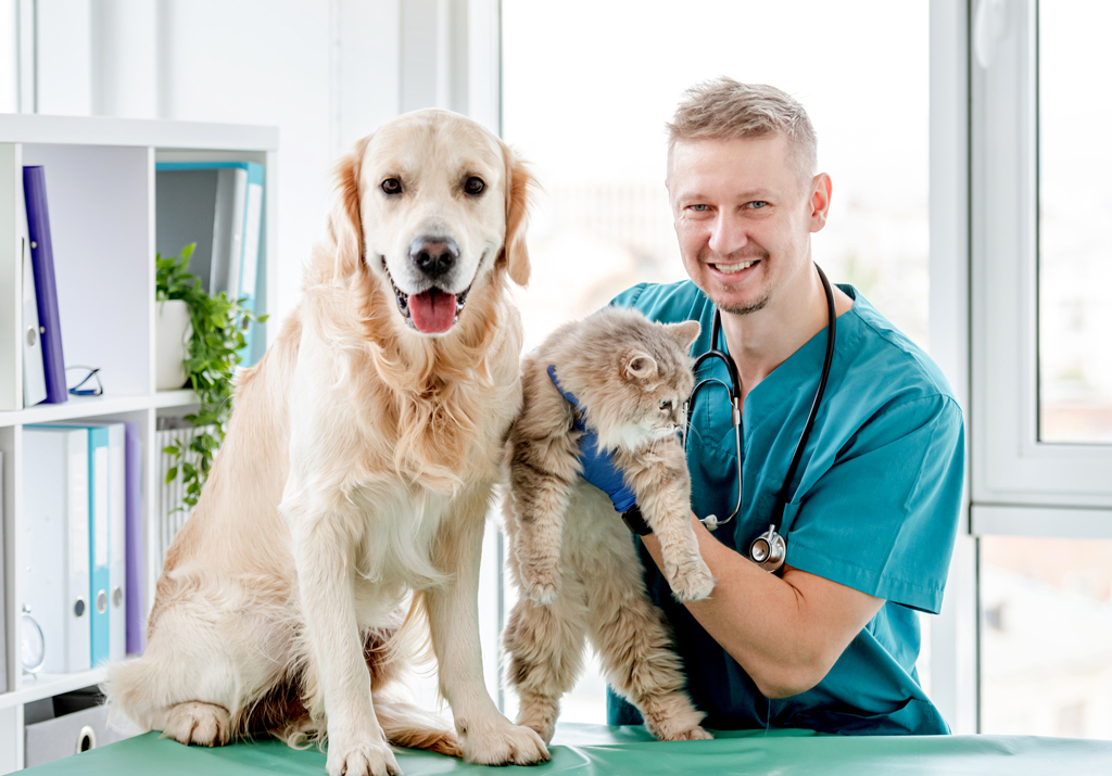 WSAVA essential medicines list for cats and dogs