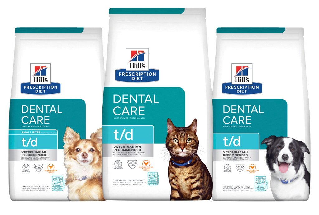 dental home care for pets