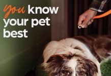 Five Tips to Ensure Customer Loyalty in Your New Veterinary Practice