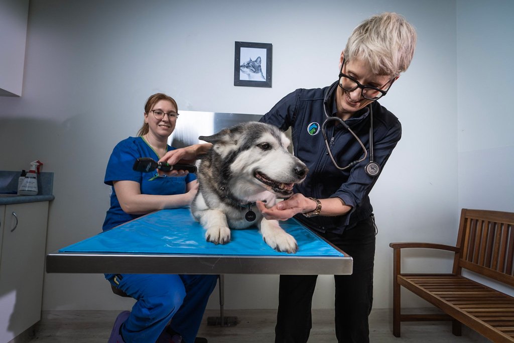 Dr Emma Christie OurVet