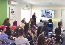 Supporting Veterinary Clinics – Partnering with InvoCare Pet Cremations around Australia for Aftercare