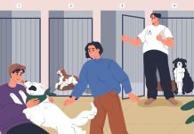 Why pet adoption rates are in decline